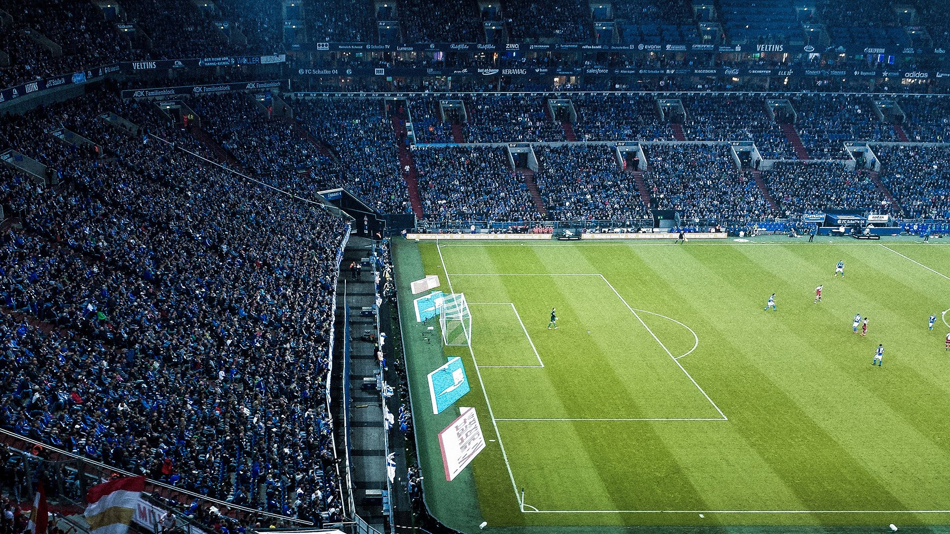 唐纳德·高尔:袋鼠队新晋领袖,攻防全面,唐纳德高德纳